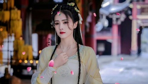 白鹿