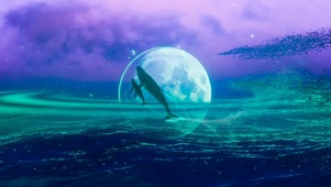 星海鲸鱼翱翔