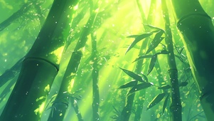 阳光竹林