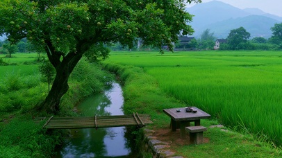 治愈风景壁纸