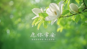 愿你常安