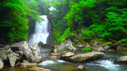 护眼绿林自然瀑布流水
