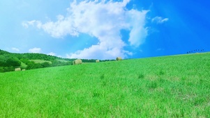 绿草山坡，蓝天白云