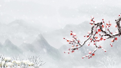 小寒白色雪景梅花白雪皑皑唯美