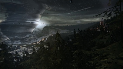 4K森林夜景