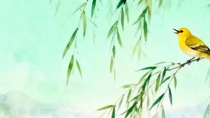 护眼树木带鱼屏
