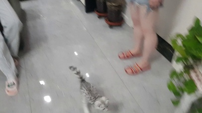 七月的淘气