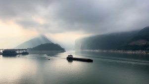 浮光跃金