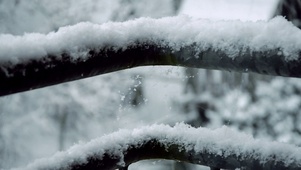 【消暑降温专题】下雪