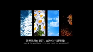 世间美好