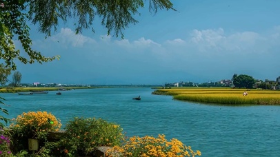 护眼树木河流房屋绿景带鱼屏