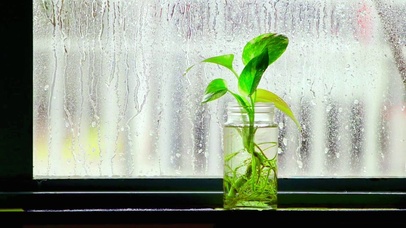 治愈窗外小雨 4K