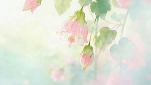 小清新鲜花
