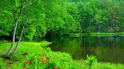 4K夏日青山绿水湖