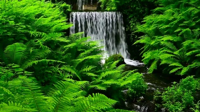 护眼清凉绿草溪流