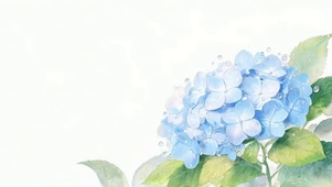 护眼小清新花朵