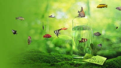 绿色生活放松鱼儿
