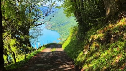 很喜欢在路上的感觉