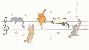猫谱小调