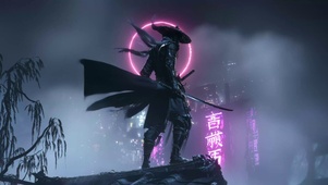 赛博武士