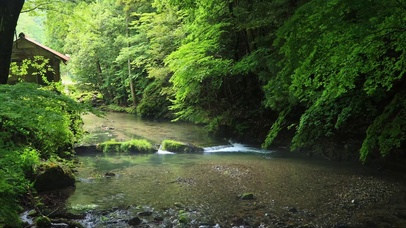 治愈护眼流水声