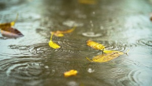 唯美下雨天雨滴滴落水面水花