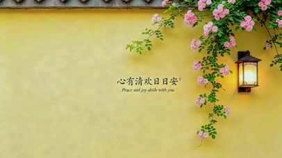 心有清欢日日安