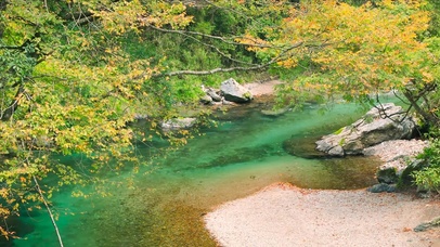 秋林山涧溪流 