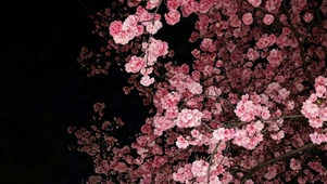 治愈护眼碎花桌面