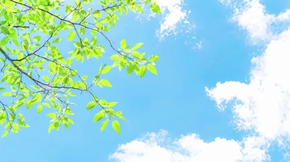 碧空翠影