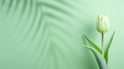 唯美清新树影郁金香