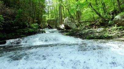 4K唯美林间流水