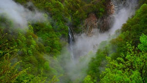 雨雾新绿山涧瀑布