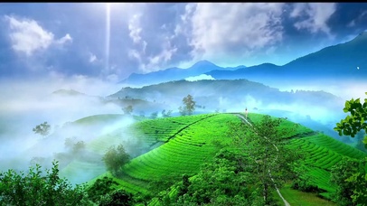 一不小心误入了仙境