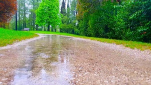 夏日清凉雨天小路