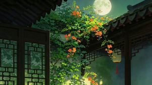 小院里的美景