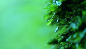 清新水滴
