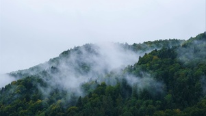 山间云雾