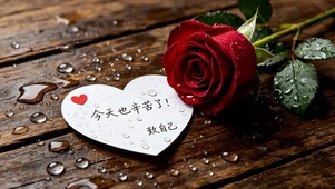 今天也辛苦了~