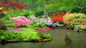 公园绿色风景