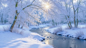 冬日暖阳雾凇小河