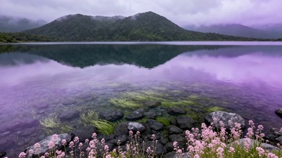 紫雾湖畔