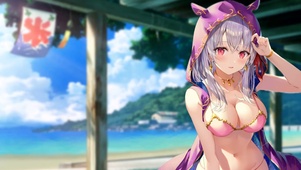 FGO少女