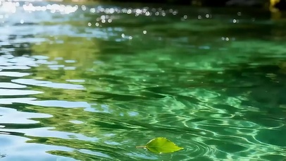 湖面绿景带鱼屏