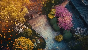 俯瞰黄昏院落傍晚景观