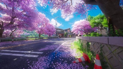 樱花公路