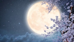 唯美花月