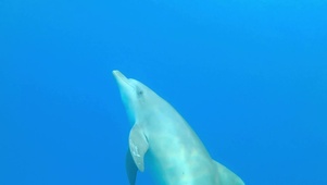 海底世界