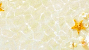水下海星