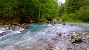 绿林山间河流